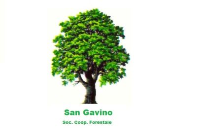 San Gavino