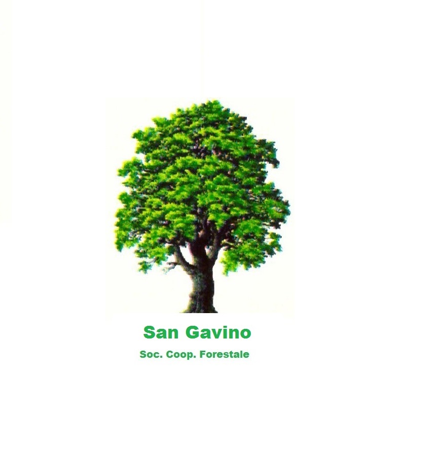 San Gavino