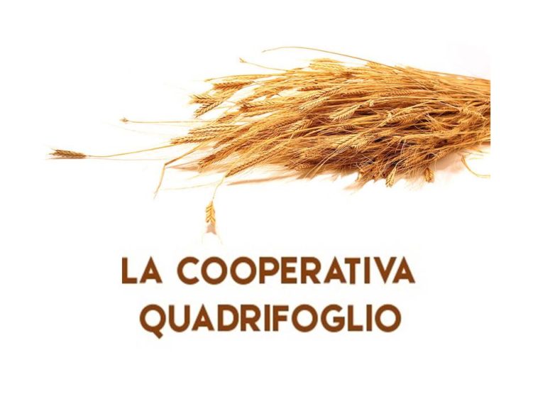 Quadrifoglio