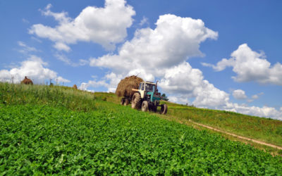 Agricoltura, sospesi i bandi sottomisure 4.1, 4.2, 6.1 del PSR 14-20