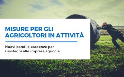 Nuove misure per gli agricoltori in attività: bandi e indennità della Regione Sardegna