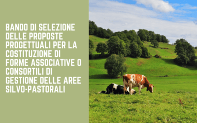 Dal MiPAAF online il Bando di selezione delle proposte progettuali per la costituzione di forme associative o consortili di gestione delle aree silvo-pastorali.