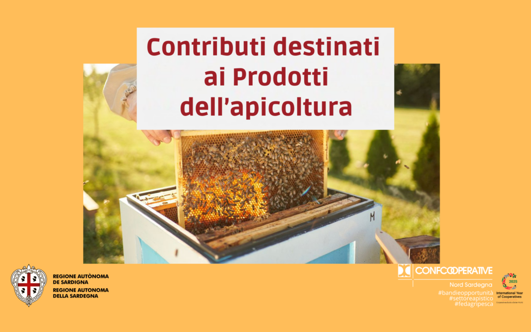 Bando Apicoltura 2025: Domande entro il 31 ottobre 2025