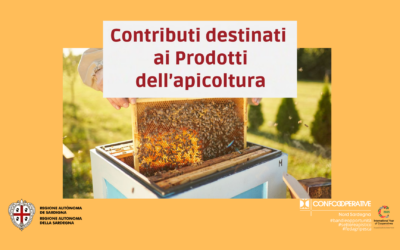 Bando Apicoltura 2025: Domande entro il 31 ottobre 2025