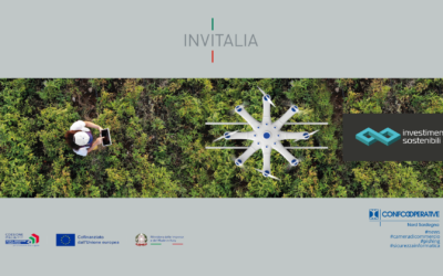 INVITALIA: Investimenti 4.0 – BANDO 2026