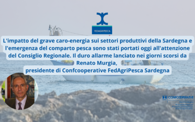 Caro prezzi gasolio e crisi dei settori produttivi: il tema al centro dei tavoli Confcooperative